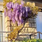Appartement Le Birdie - Maison & Jardin A Proximite De Chantilly *