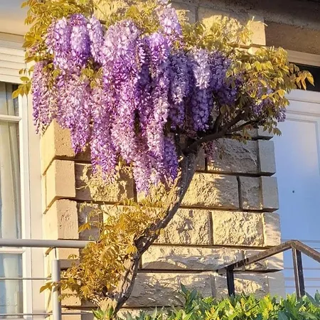 Lejlighed Le Birdie - Maison & Jardin A Proximite De Chantilly *