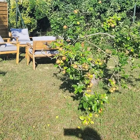 Le Birdie - Maison & Jardin A Proximite De Chantilly Appartement