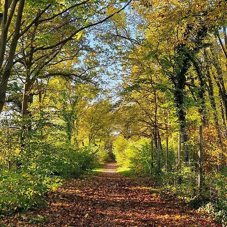 Lejlighed Le Birdie - Maison & Jardin A Proximite De Chantilly *